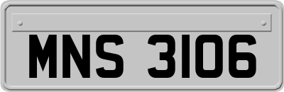 MNS3106