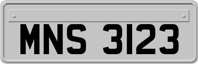 MNS3123