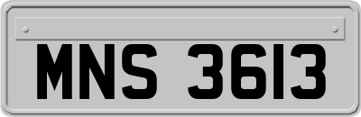 MNS3613