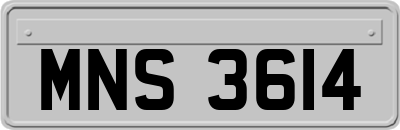 MNS3614