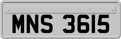 MNS3615