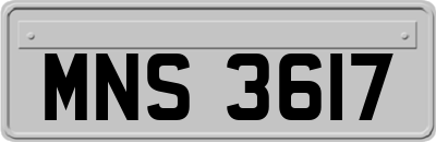 MNS3617