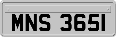 MNS3651