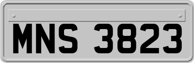 MNS3823