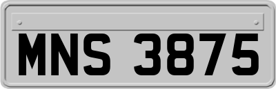 MNS3875