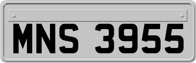 MNS3955