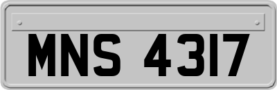 MNS4317
