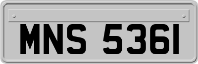 MNS5361