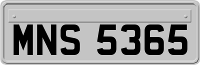MNS5365