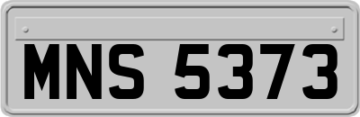 MNS5373
