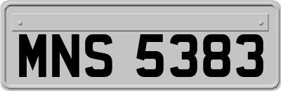 MNS5383