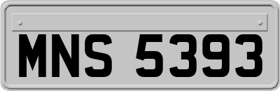 MNS5393