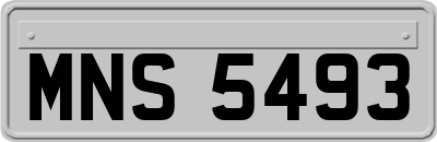 MNS5493