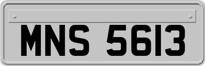 MNS5613