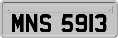 MNS5913