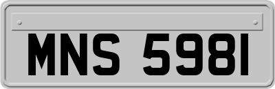 MNS5981