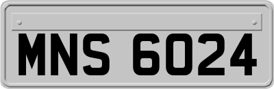 MNS6024