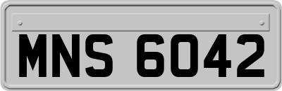 MNS6042