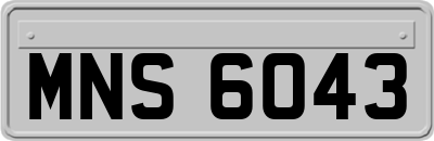 MNS6043