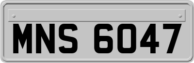 MNS6047