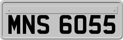 MNS6055