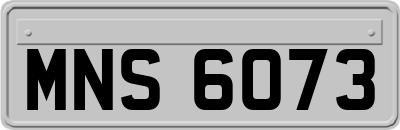 MNS6073