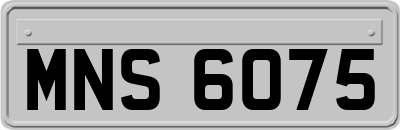 MNS6075