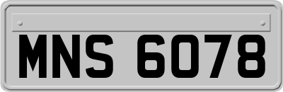 MNS6078