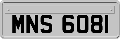 MNS6081