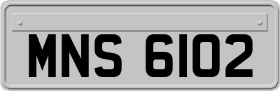 MNS6102