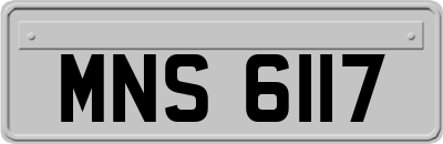 MNS6117