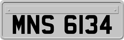 MNS6134