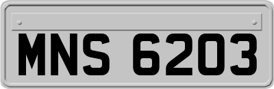 MNS6203