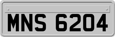MNS6204