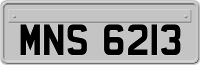 MNS6213