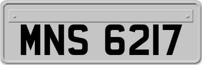 MNS6217