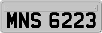 MNS6223