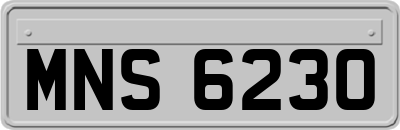 MNS6230