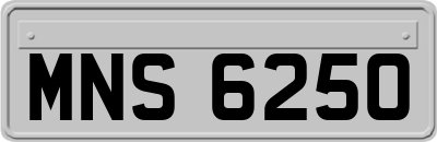 MNS6250