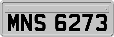 MNS6273