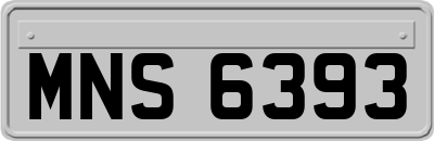 MNS6393