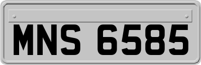 MNS6585