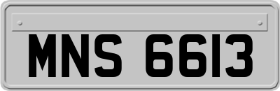 MNS6613
