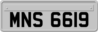 MNS6619