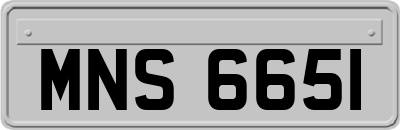 MNS6651