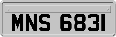 MNS6831