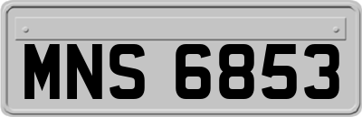 MNS6853