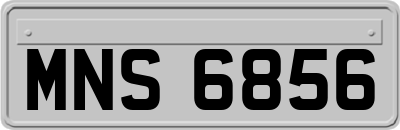 MNS6856