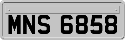 MNS6858