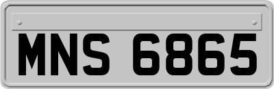 MNS6865